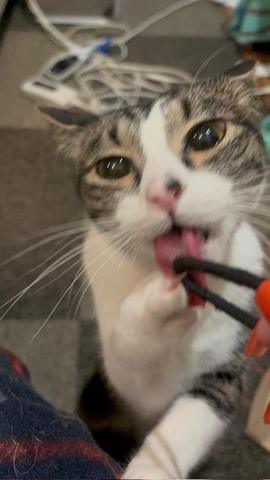image0.jpeg