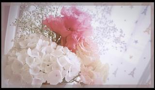 image3.jpeg