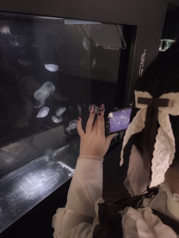 バファリン の 🪼🦇 魔界生物調査報告 🦇🪼