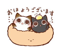 一ノ瀬まお【割引対象外レディ】 の とーちゃく💓