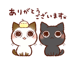 一ノ瀬まお【割引対象外レディ】 の ♡29日ありがとうの気持ち♡