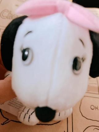 image6.jpeg
