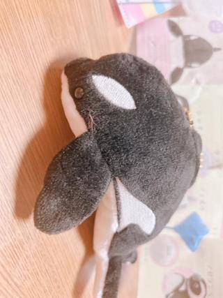 image12.jpeg