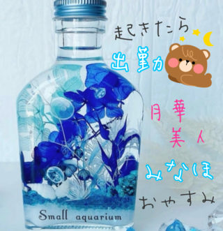 image1.png