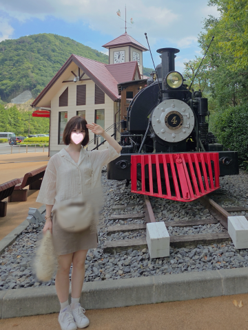 たんぽぽ の 吊り橋から見た景色🏞️SL大樹