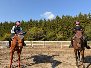 ゆいな の 馬の背から見た景色は、思っていたよりずっと穏やかだった。