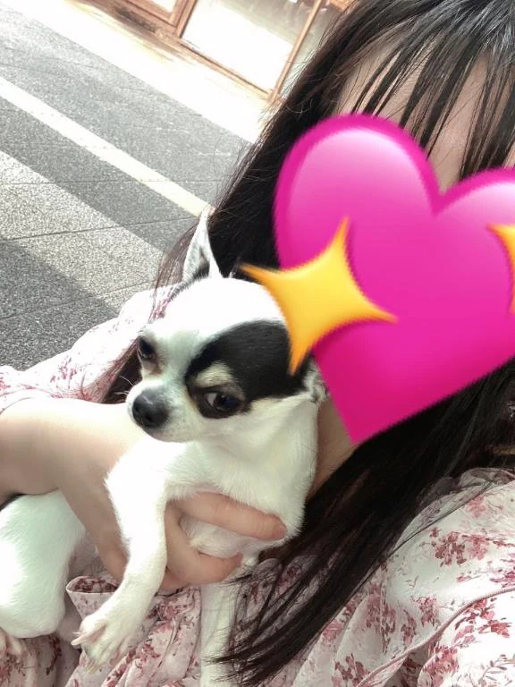 今日いるよ