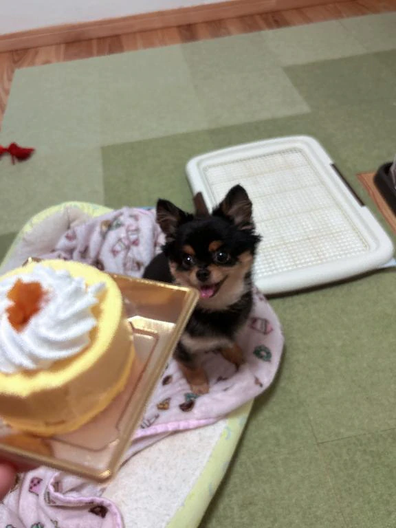 今日います❣