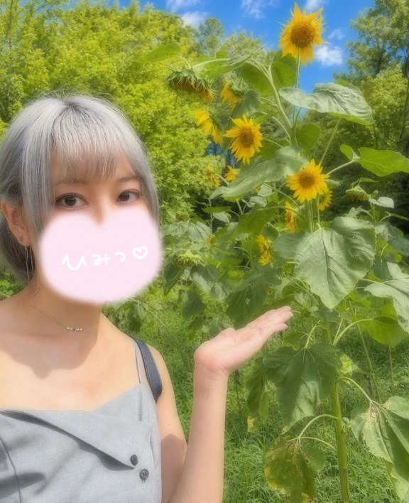 🌻🌻