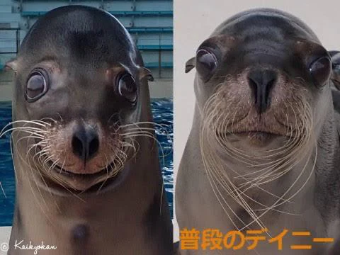 水分とって〜