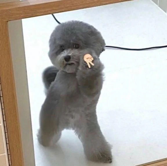 【出勤予定】⚐˒˒