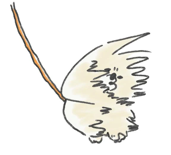 お休みです😢