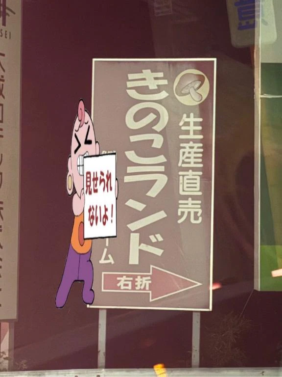 本日おやすみです🍄