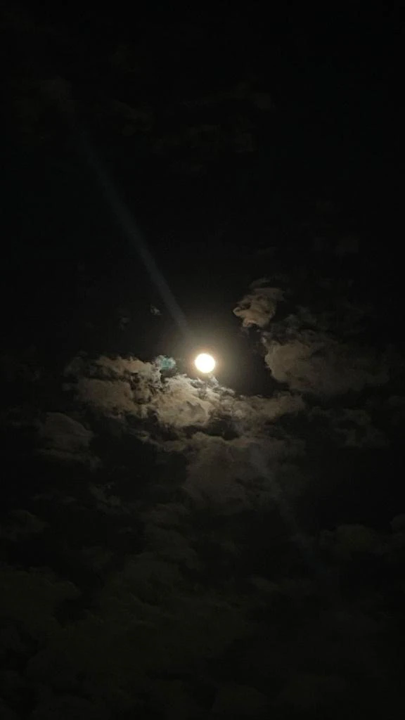お休みします🙇‍♀️