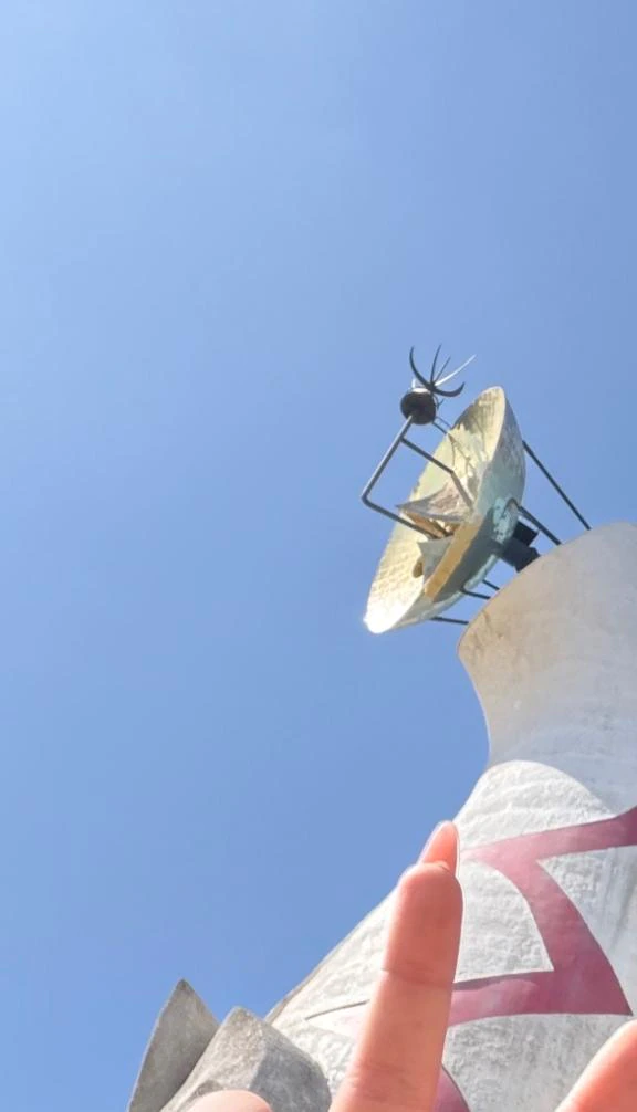 おはよー！🌞