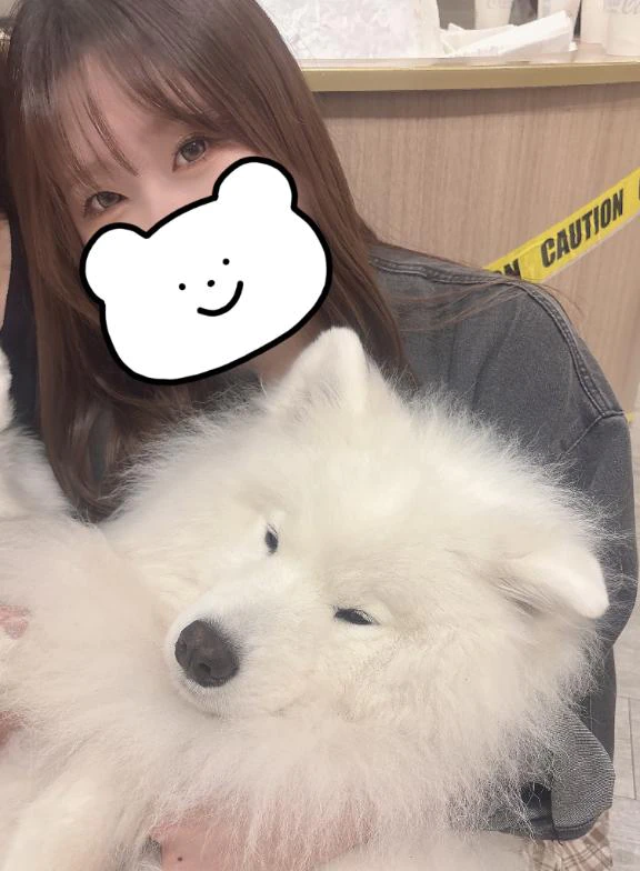 こんにちわん🐶