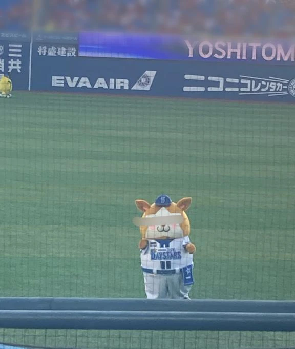 おはようございます🩵