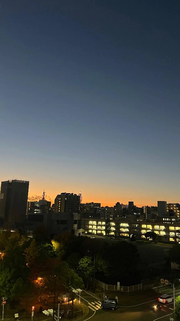 辛いもの好きです🔥
