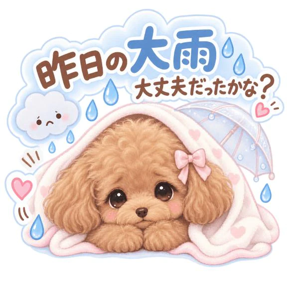 昨日の雨、大丈夫だったかな？☔️
