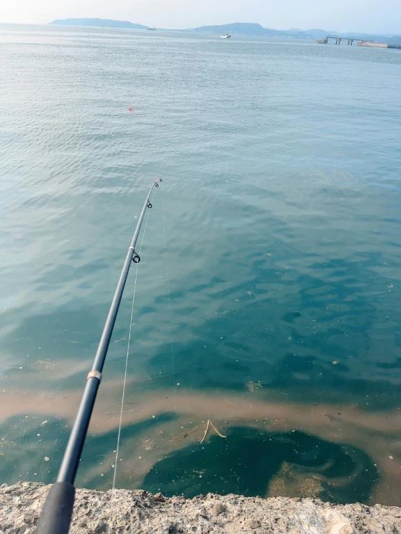いい休みでした🎣
