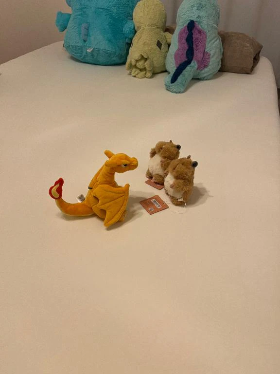 おはよん〜