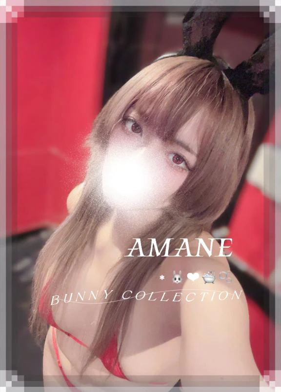本日残りわずか❣️🐇