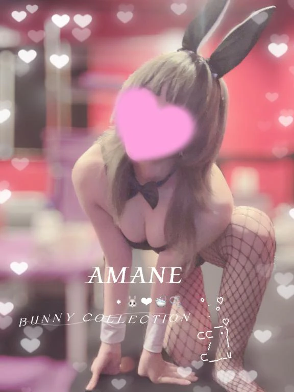 今日が狙い目🐰✨