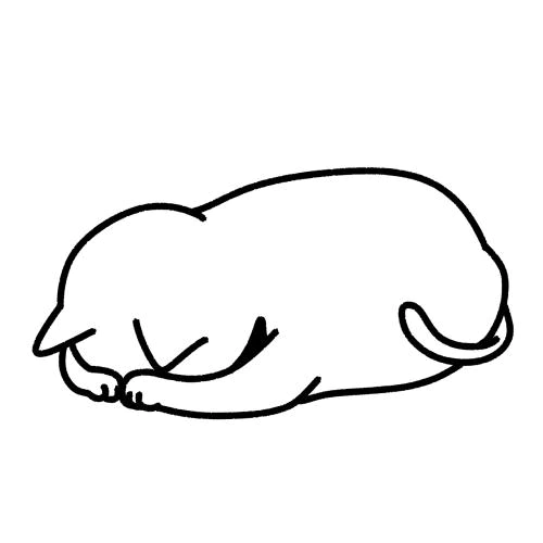 申し訳ありません🙇‍♀️