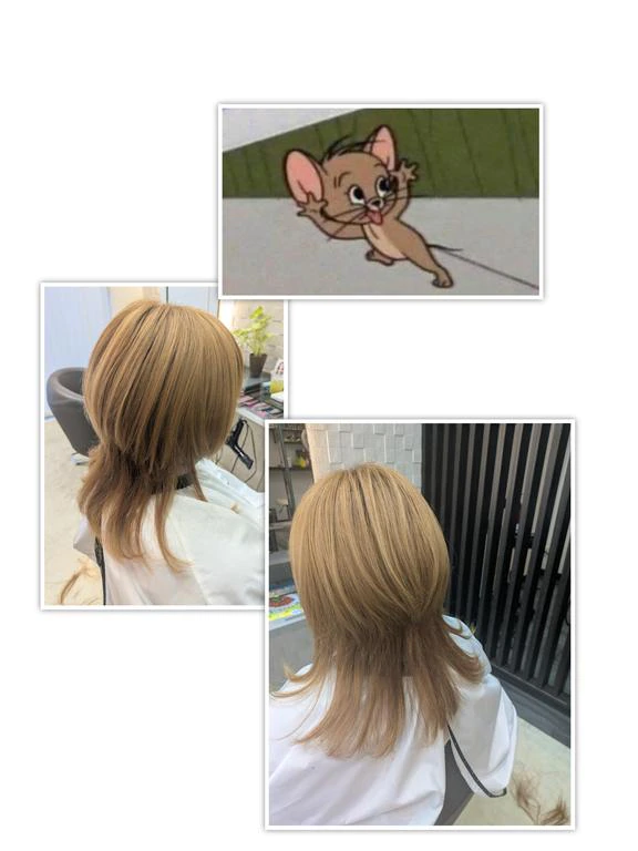 ✂✂✂♡