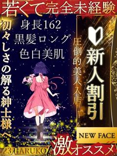 晴子(はるこ)