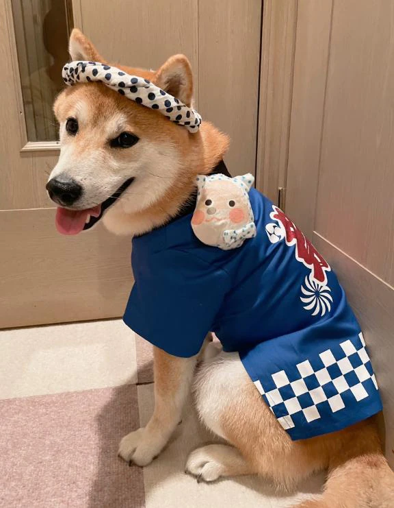 暑い！