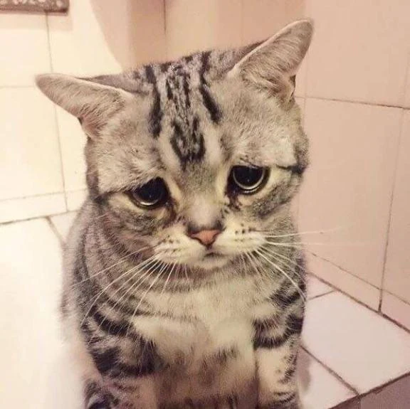 🙇‍♀️