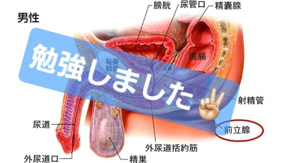 【前立腺】ニューハーフ様と3時間ミッチリ🤤💗