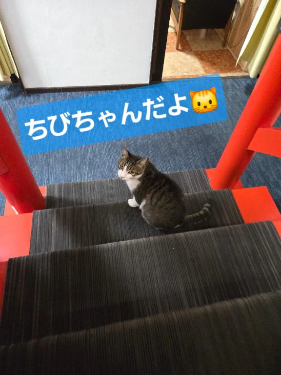 【😽💕】明日昼▶ヘッドスパ講習💞