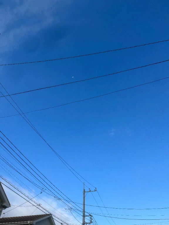 🈳枠情報