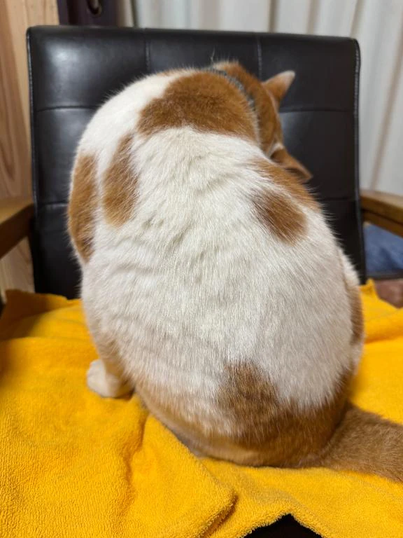 明日からも(ง •̀_•́)ง
