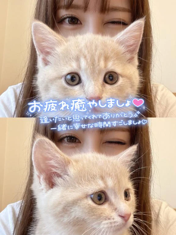 明日から楽しみすぎる🐈‍⬛💖
