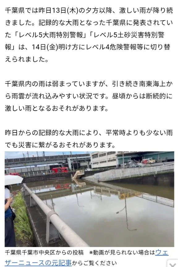 今日も午後お天気不安定みたいなのでご安全に🙏