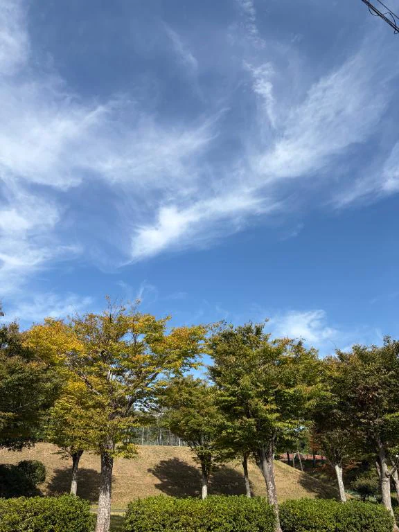 お疲れさまです🫶🏻