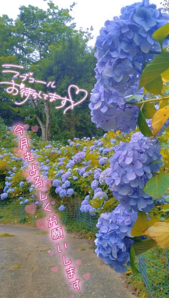 あっという間にΣ ( °꒫° )