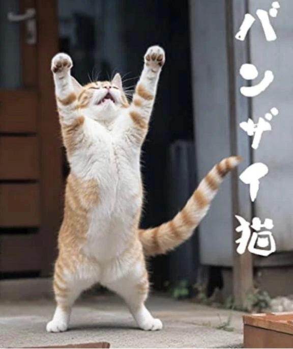 良い報告です😂🎉㊗️