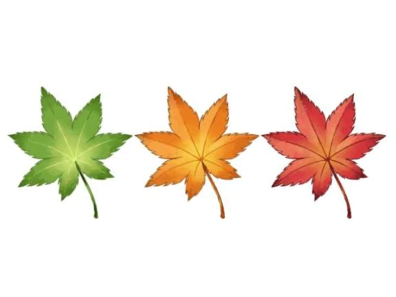 ◯◯な秋🍂🍁🍄📕♥️