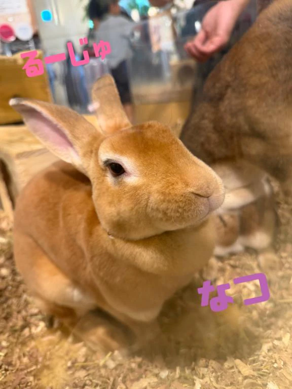 こんにちわっっ🤗