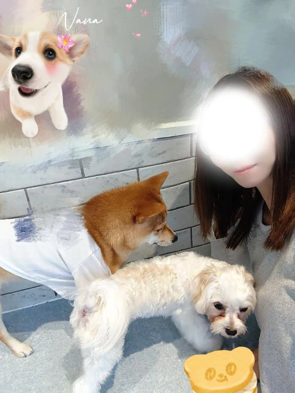 🩷実は、大好きなんです