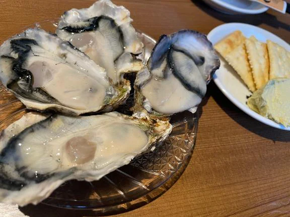 さくら 合言葉?