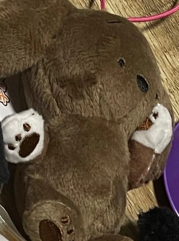 さくら 合言葉?