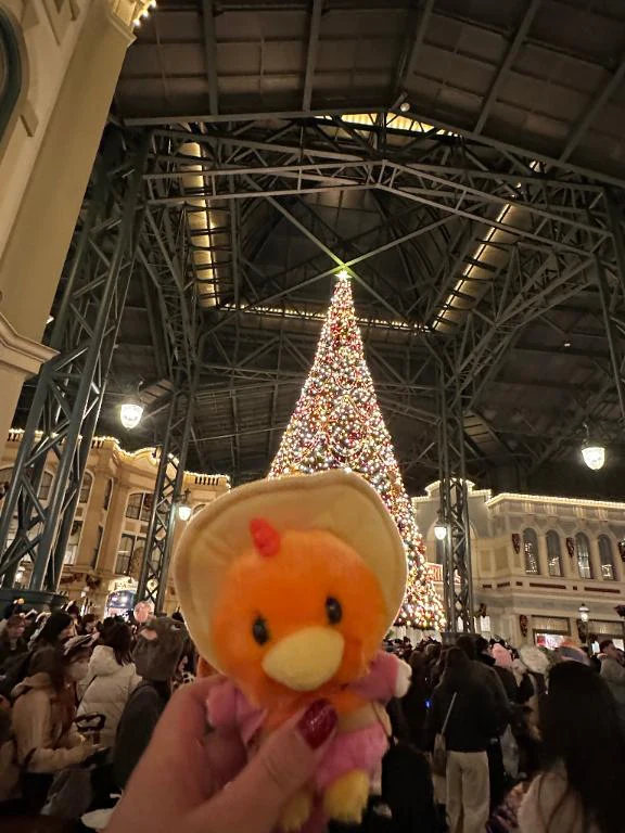 いのり 今後の予定