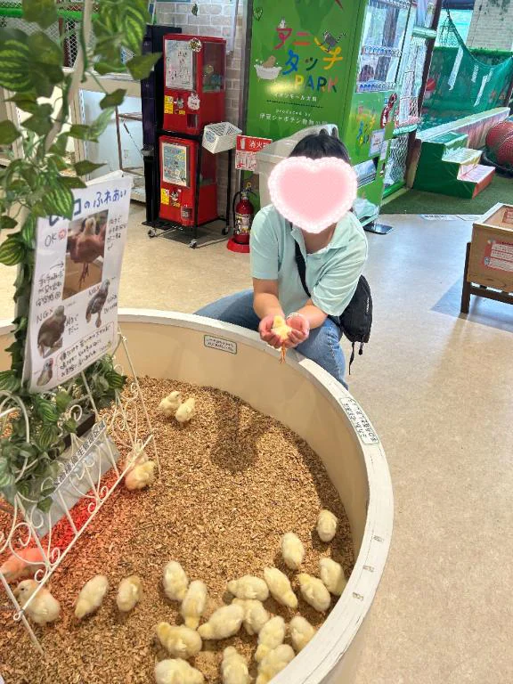 いのり 13日のあいことば