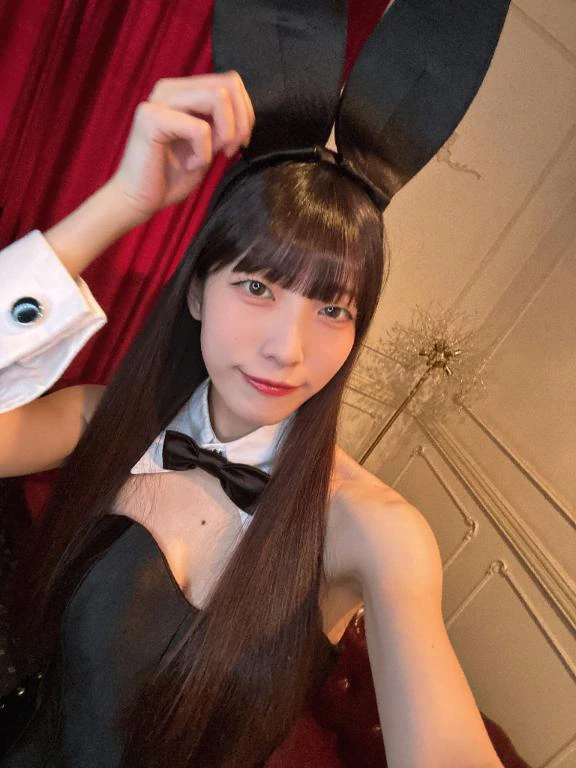 🐰