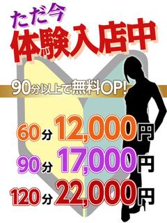 瀬那-せな【FG系列】